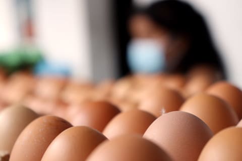 Poultry_1.
