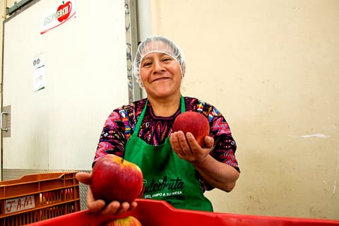 Apples