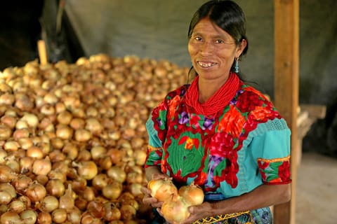 Onions