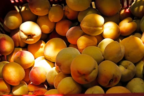 peaches