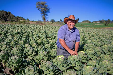 Farmer