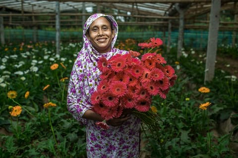 After receiving training funded by USAID, Sajeda, a flower farmer in southern Bangladesh, doubled her production and income.