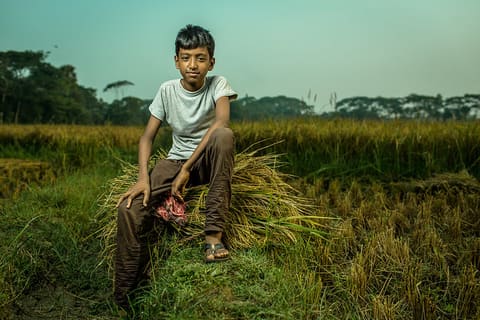 B-roll footage of farmer, Taroni Kanta, and his familiy in the rice field