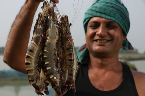 Farmers with SPF shrimp 1