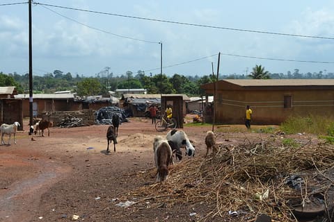 Soubré field trip