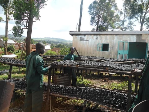 Eco-Fuel Africa
