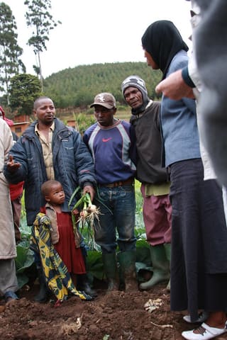 Tanga Lushoto Group
