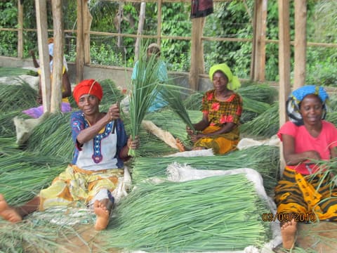 Women Working