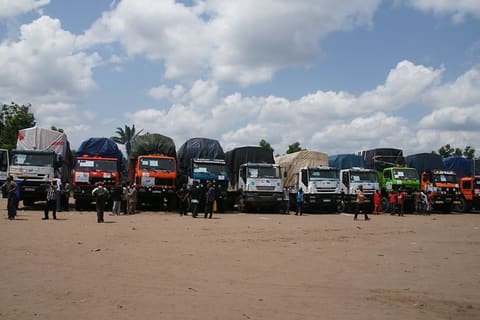 Polio-free for three years in DRC