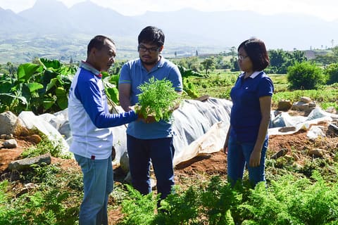 XU grantee Mosqueda_vegetables