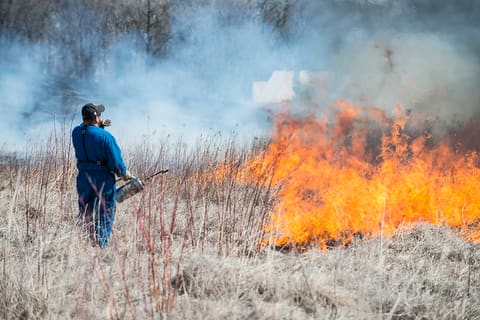 Prairie Burn