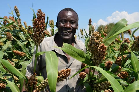 Richard Ojenge, sorghum farmer and chairman of Geno Maber SHG