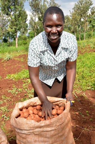 Everlin Namweya, a member of the Kiptoitik farmers group in Uasin Gishu county