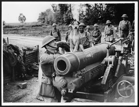 Triumphant dog sitting atop a gun surrounded by gunners, France, during World War I