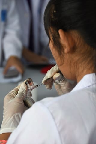 Woman scientist in training, U. Yangon