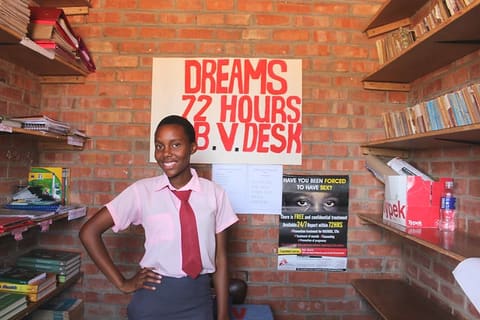 DREAMS GBV Desk . ADiVincenzo USAID 2016
