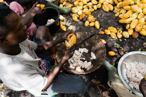 Ghana TDY 17 (11 of 32)