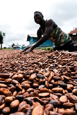 USAID_TGCC_Ghana_2017-6.jpg