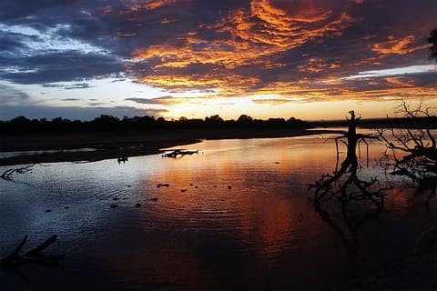 Zambia_SouthLuangwa_13_Nov2019_RSinger
