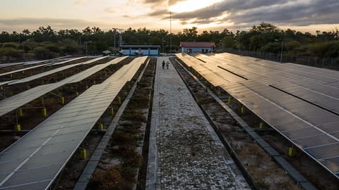 Sumba Solar Field