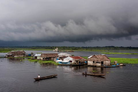 USAID-PRO-BOSQUES PERÚ