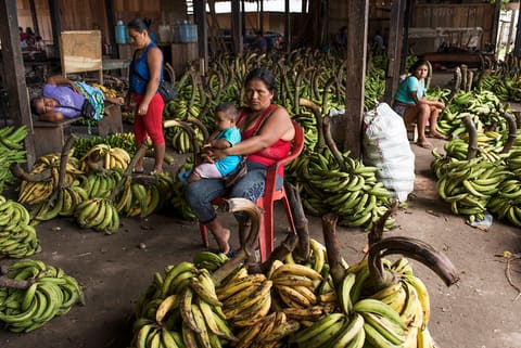 USAID-PRO-BOSQUES PERÚ