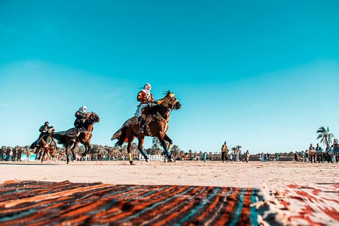 Touzeur Oases Festival 2022