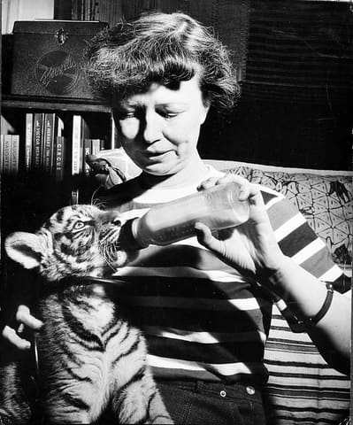 Lucile Quarry Mann Feeding Tiger Cub, Babette