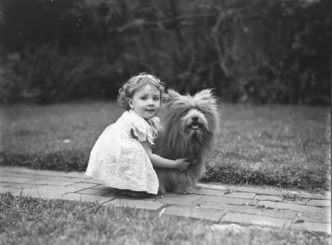 Study of a small girl with a prize Scottish terrier dog, c. 1935 / by Sam Hood