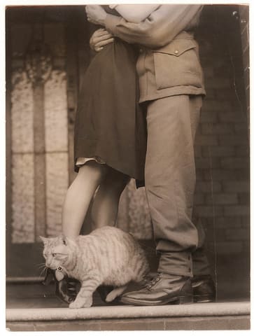 Soldier's goodbye & Bobbie the cat, 1939-1945, by Sam Hood