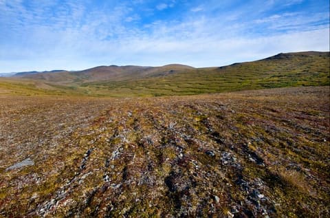 A Trip to Alaska in Search of the Future of Climate Change