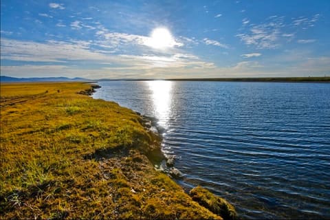 A Trip to Alaska in Search of the Future of Climate Change