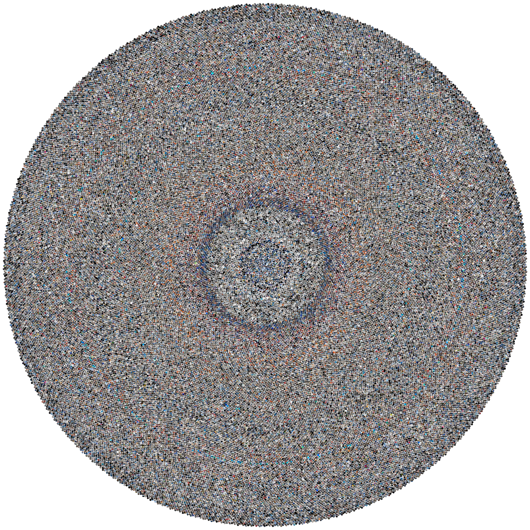 Sunflower mosaic of every photo in this Data Lifeboat