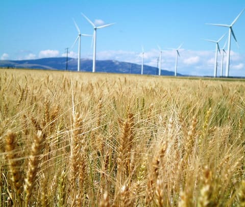 Wind Farming