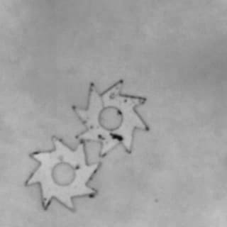 Bacteria Turn Tiny Gears