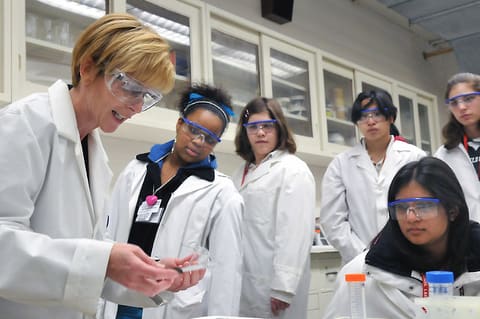 Science Careers in Search of Women 2009