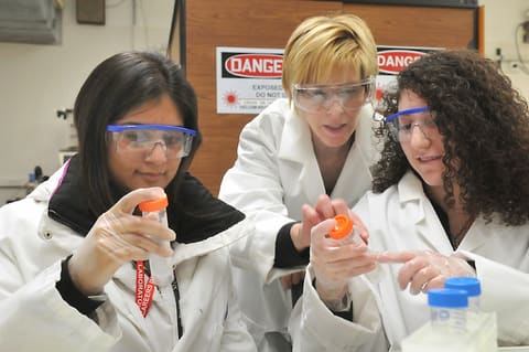 Science Careers in Search of Women 2009