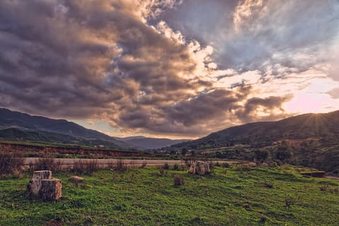 Landscape