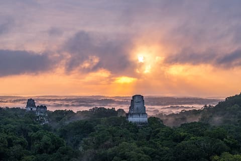 USAID Measuring Impact Conservation Enterprise Retrospective (Guatemala; Rainforest Alliance)
