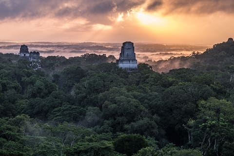 USAID Measuring Impact Conservation Enterprise Retrospective (Guatemala; Rainforest Alliance)