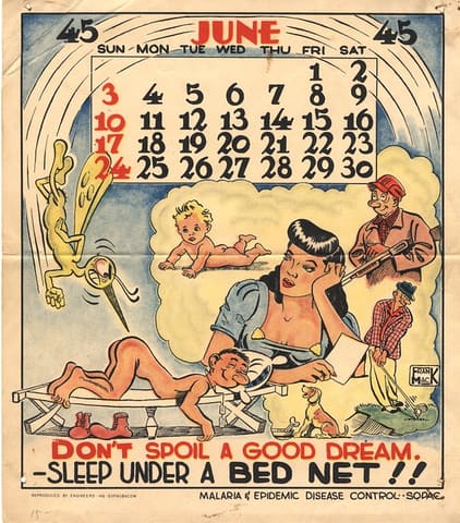 Don't spoil a good dream sleep under a bed net