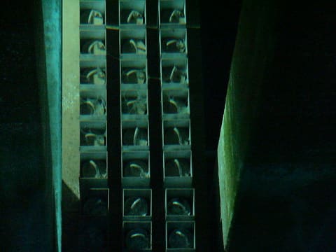 "Cobwebs" in underwater spent nuclear fuel basin?