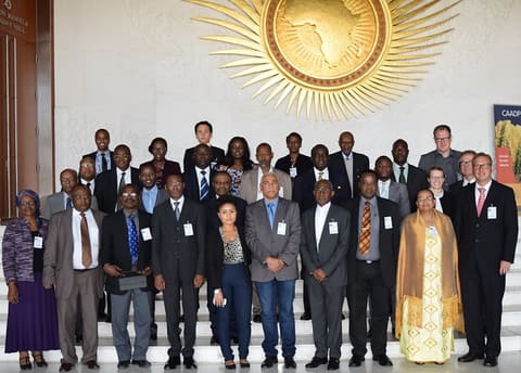 Pan African University Council