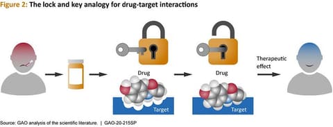 Figure 2: The lock and key analogy for drug-target interactions