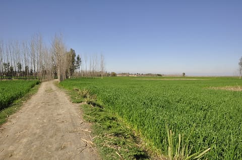 _DSC0063