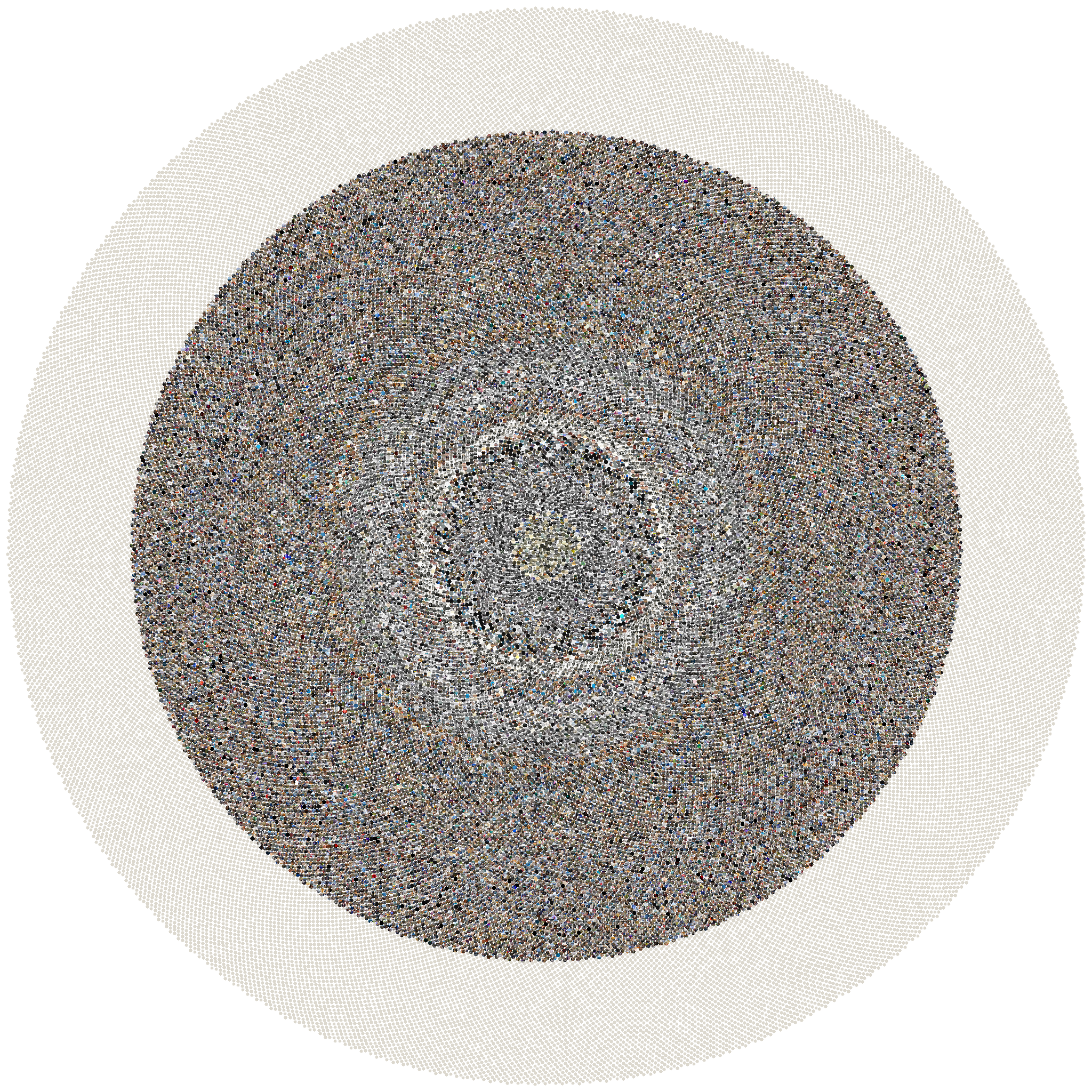 Sunflower mosaic of every photo in this Data Lifeboat
