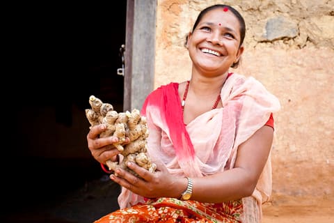 Radhika B.K. sells ginger to Annapura Organic through her women’s cooperative. She is one of 9,000 ginger famers who benefitted from USAID’s Nepal Economic Agriculture and Trade (NEAT) project. Annapurna Organic established Nepal’s first large-scale ginge