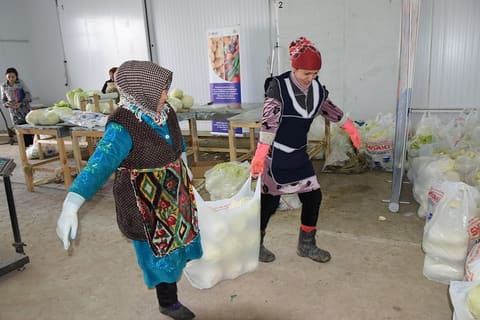 aravana-agroservice