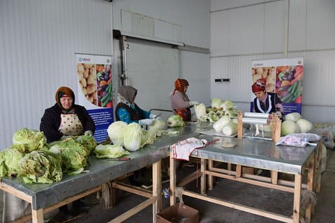 aravana-agroservice