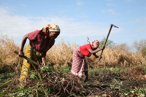 Woman Farmers in Mozambique